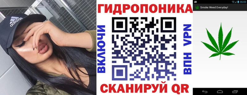 Виды наркоты Берёзовский Псилоцибиновые грибы  COCAIN  Альфа ПВП 