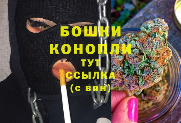 соль ск Туринск