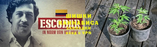 тгк Иннополис
