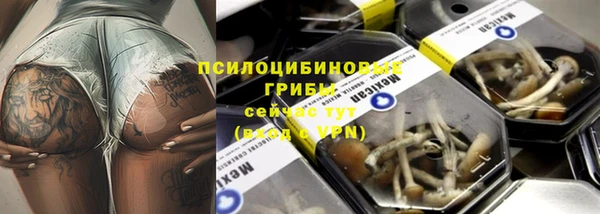соль ск Туринск